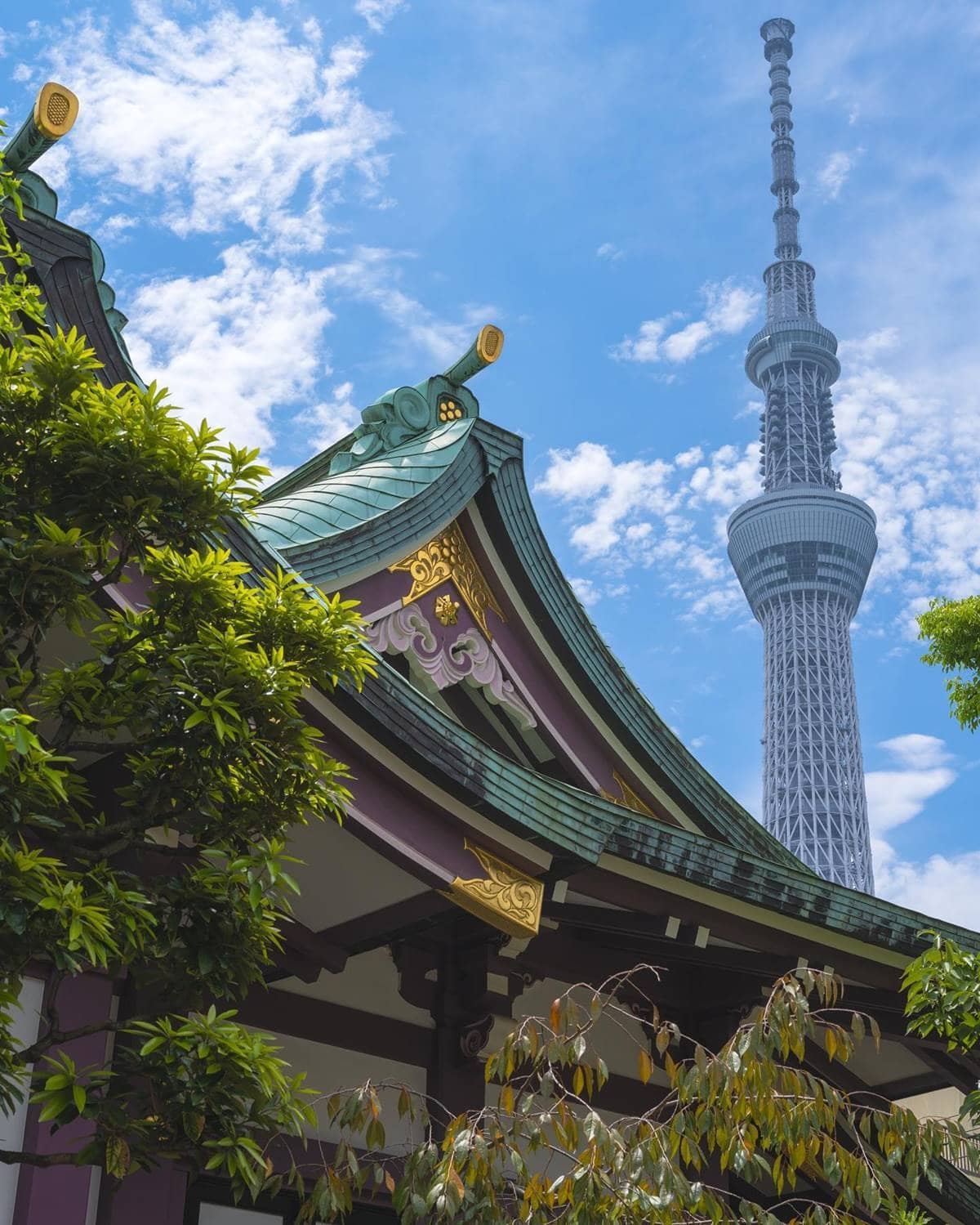 ⛩️ 다카기 신사(다카기 진자) 이미지 8